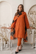 Rang-e-Afsaan